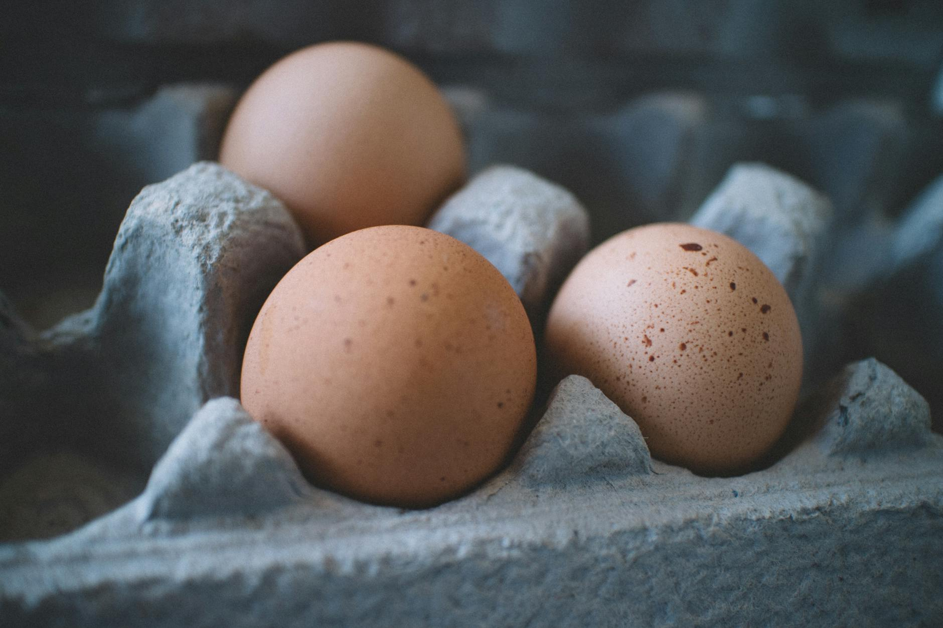 Why It’s So Hard to Find Eggs